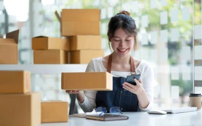 Melissa’s Advisory Service, LLC’s Playbook to Choosing the Right Entity Type For Business Success